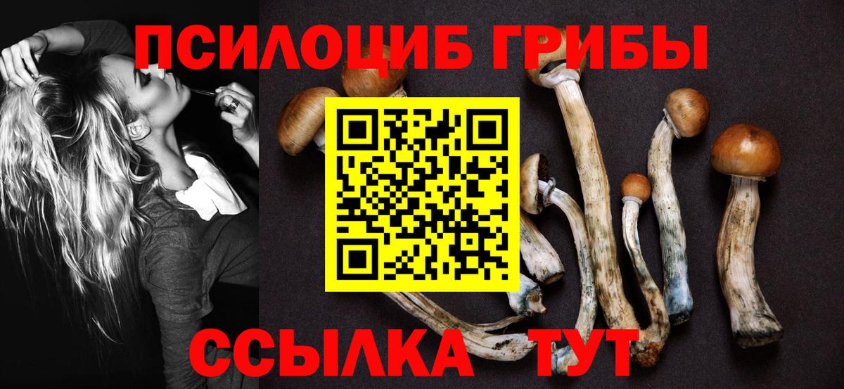 Псилоцибиновые грибы Cubensis  Вход с VPN  Алушта  Галлюциногенные грибы MAGIC MUSHROOMS 
